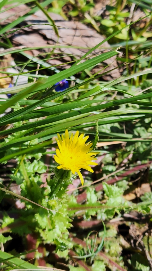 Фото из похода