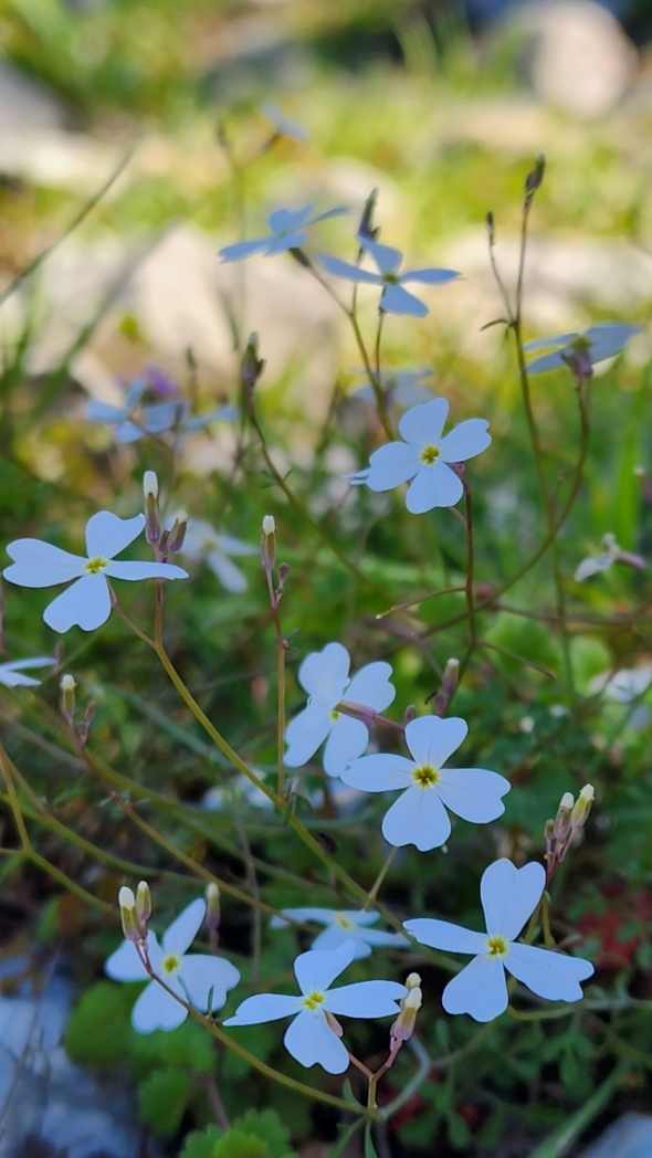 Фото из похода