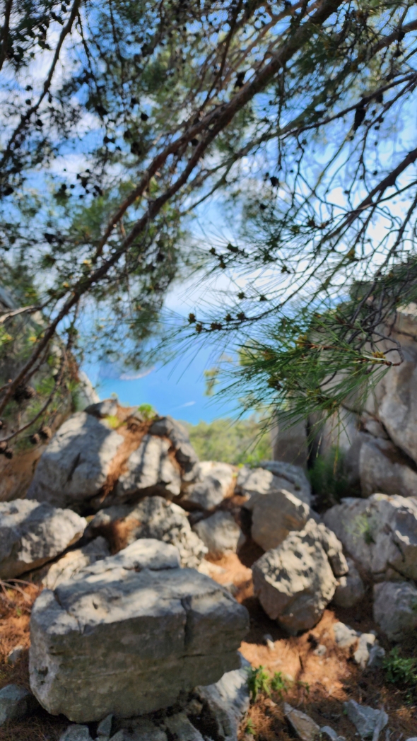 Фото из похода