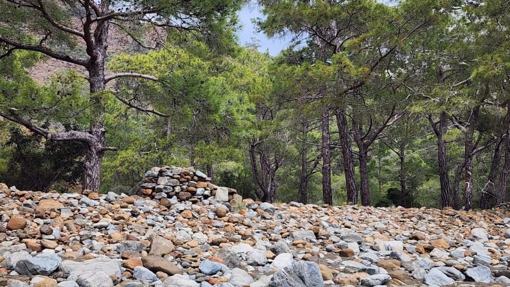 Фото из похода