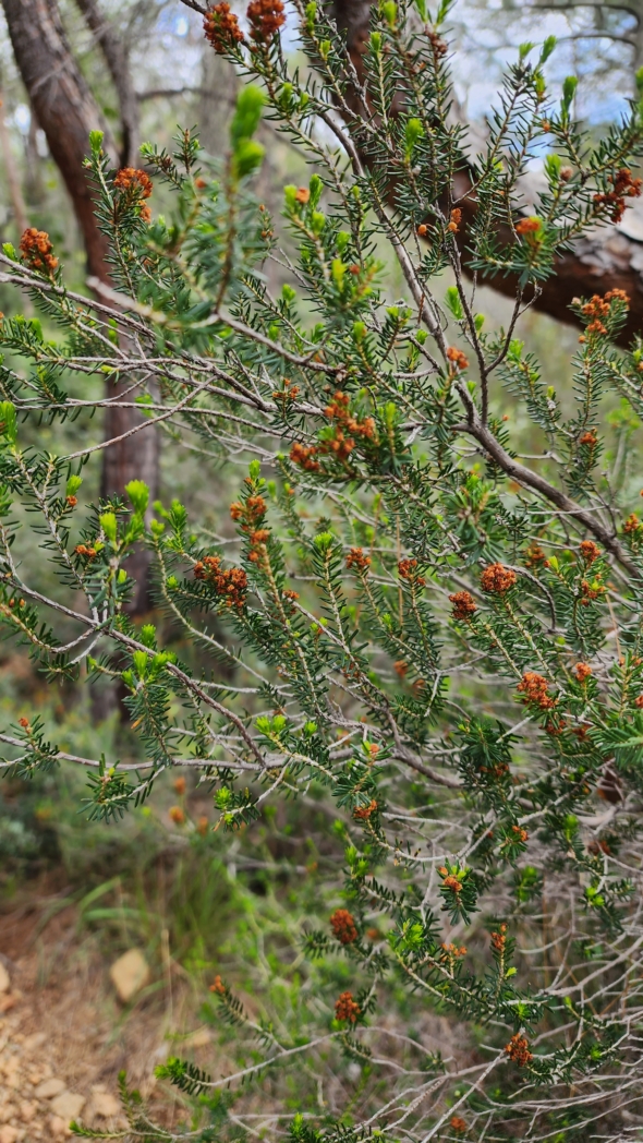 Фото из похода