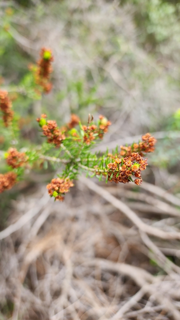 Фото из похода