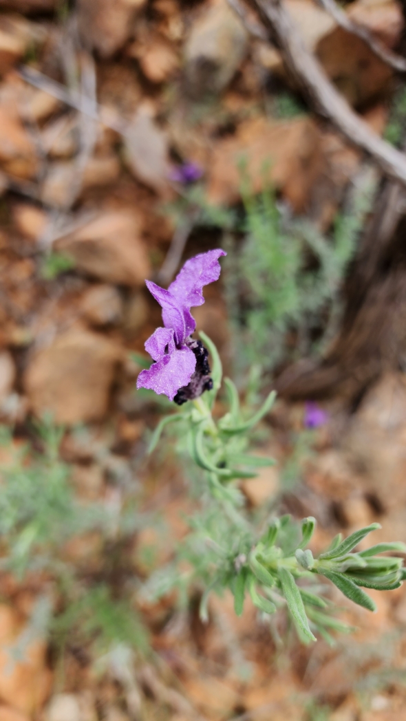 Фото из похода