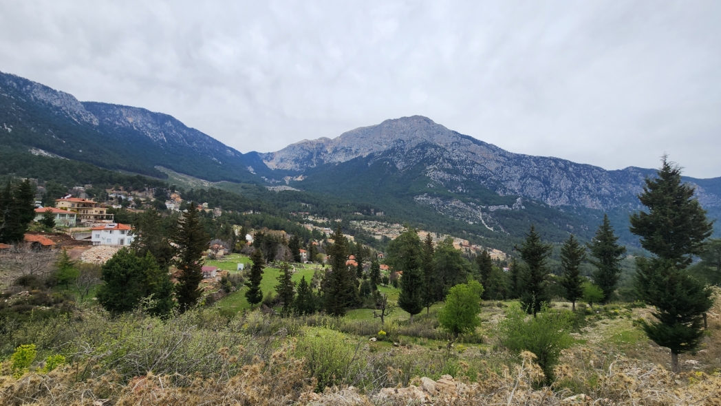 Фото из похода