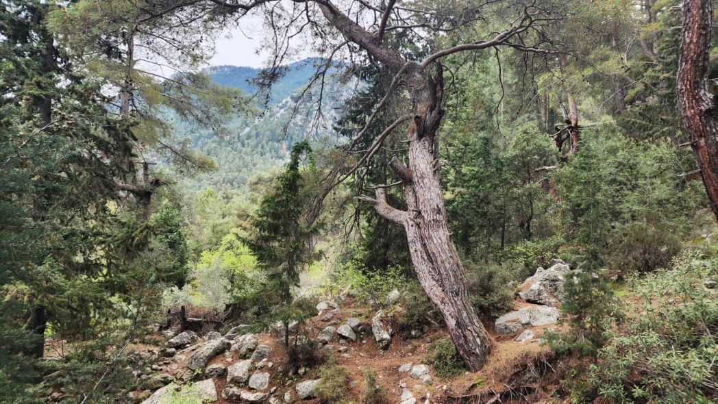 Фото из похода