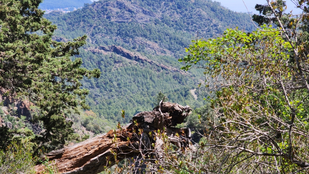 Фото из похода