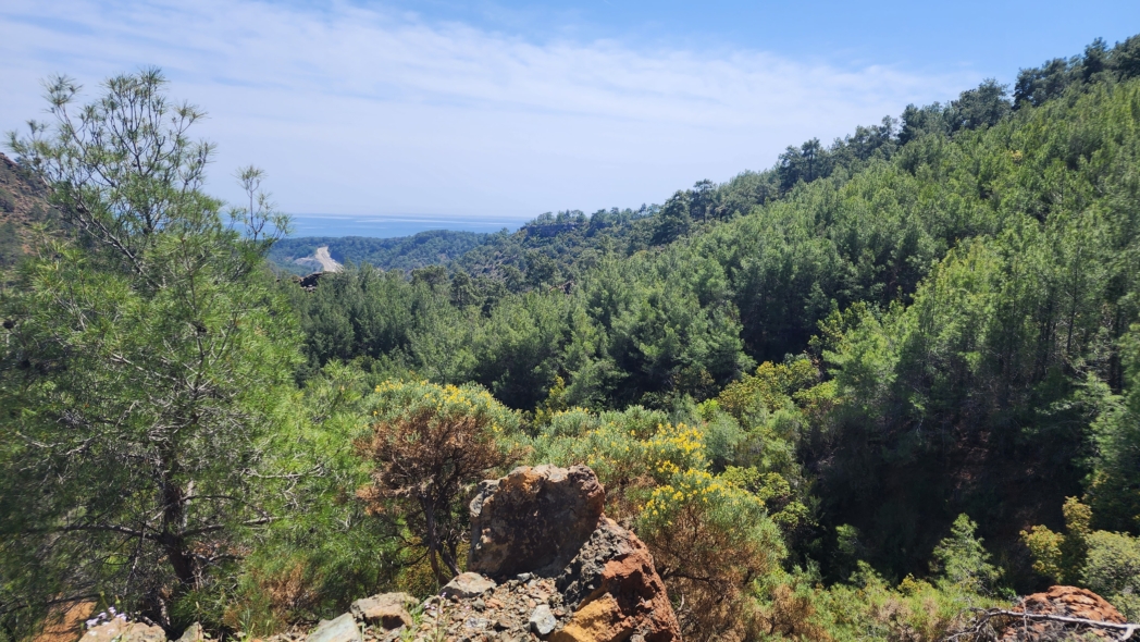 Фото из похода