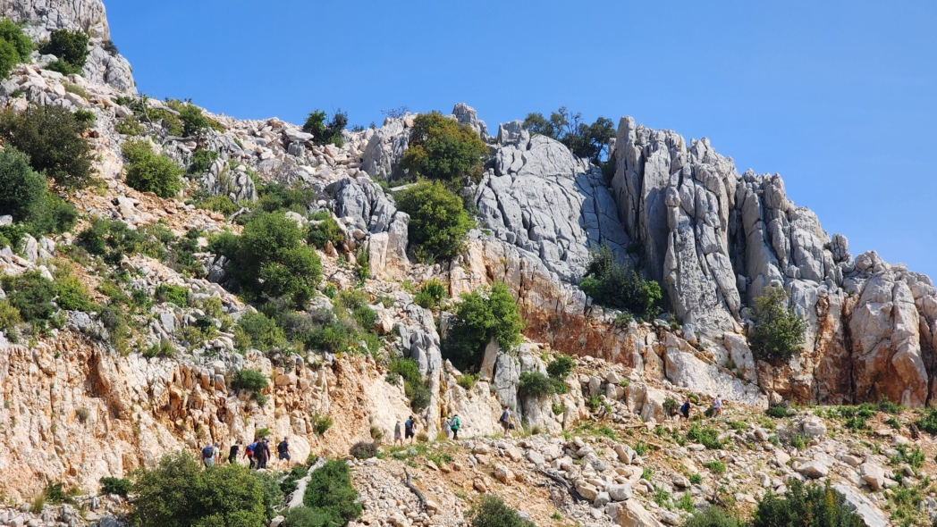 Фото из похода