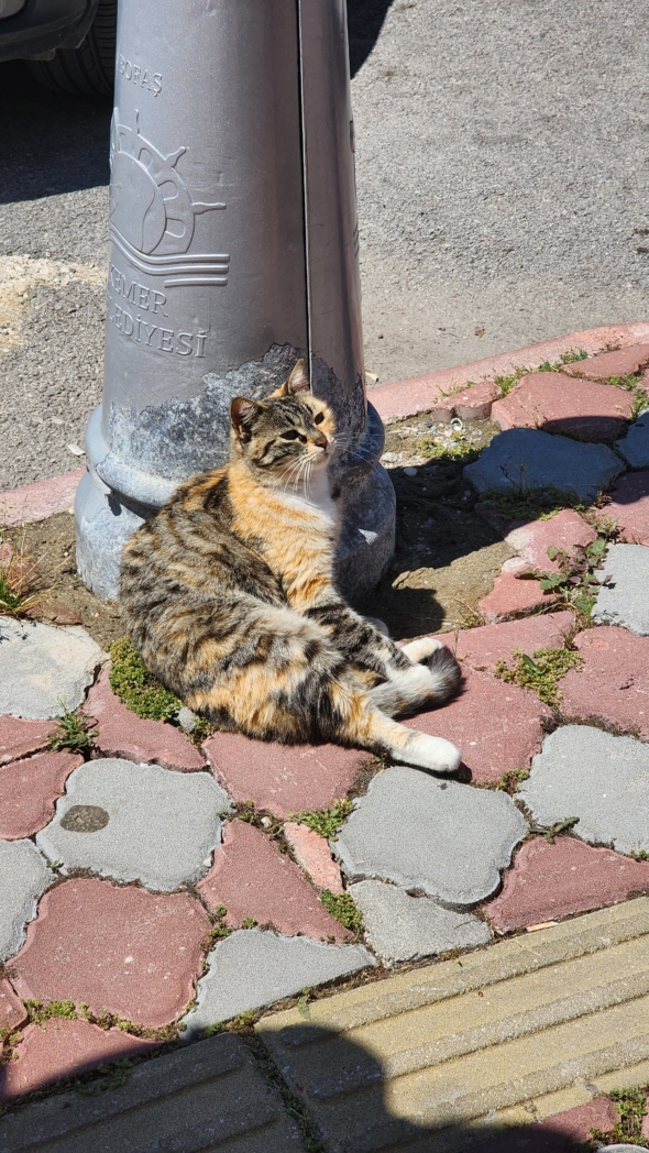 Фото из похода