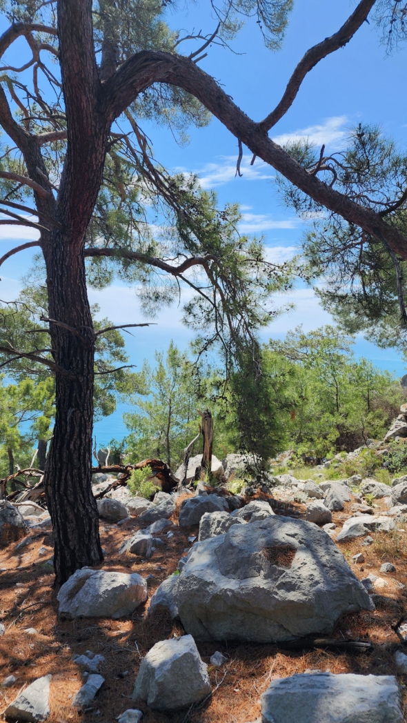 Фото из похода