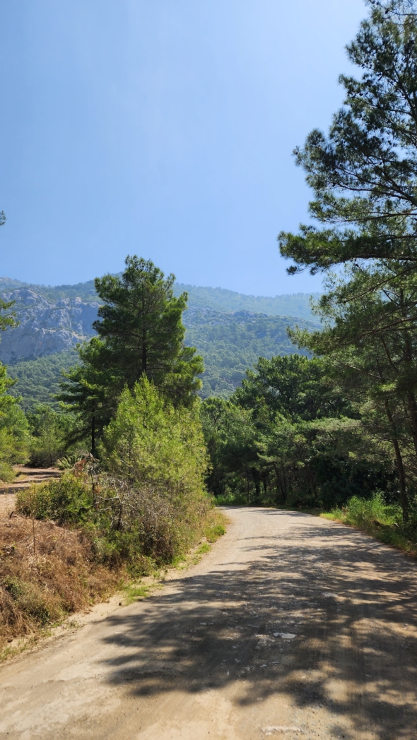 Фото из похода