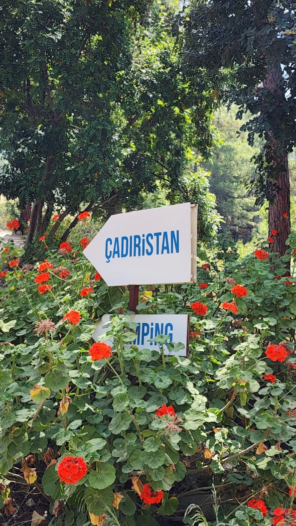 Фото из похода