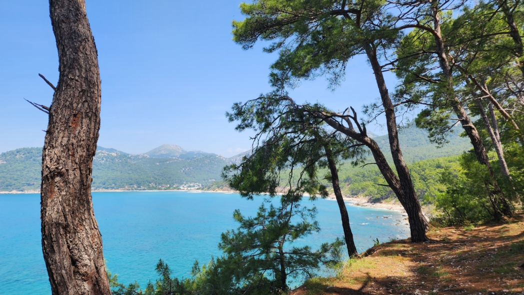 Фото из похода