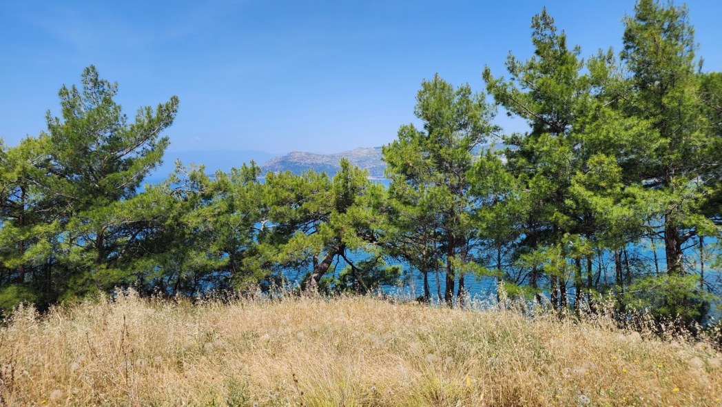 Фото из похода