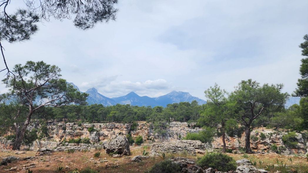 Фото из похода