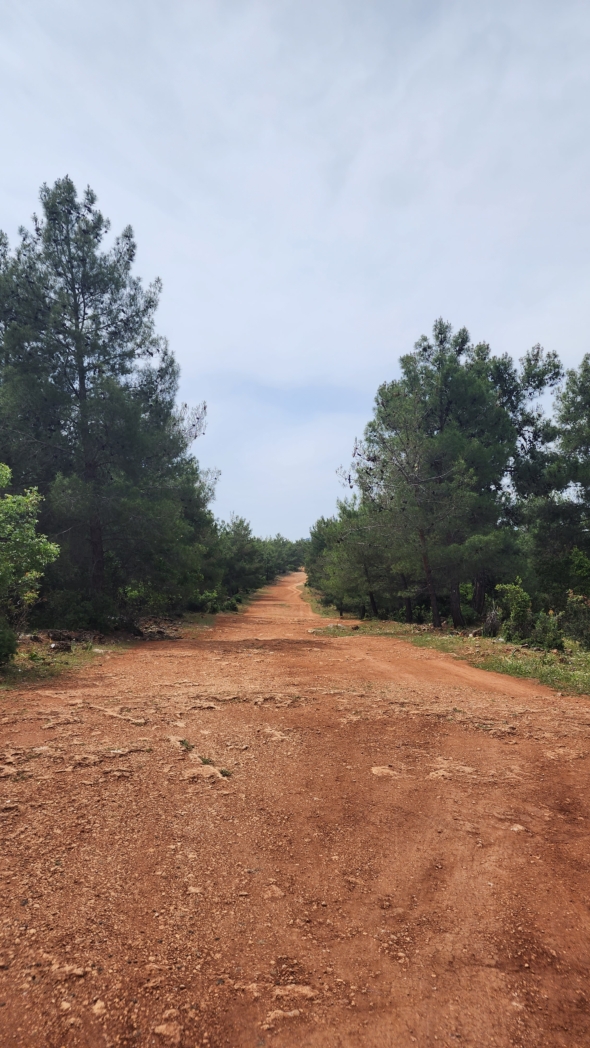 Фото из похода