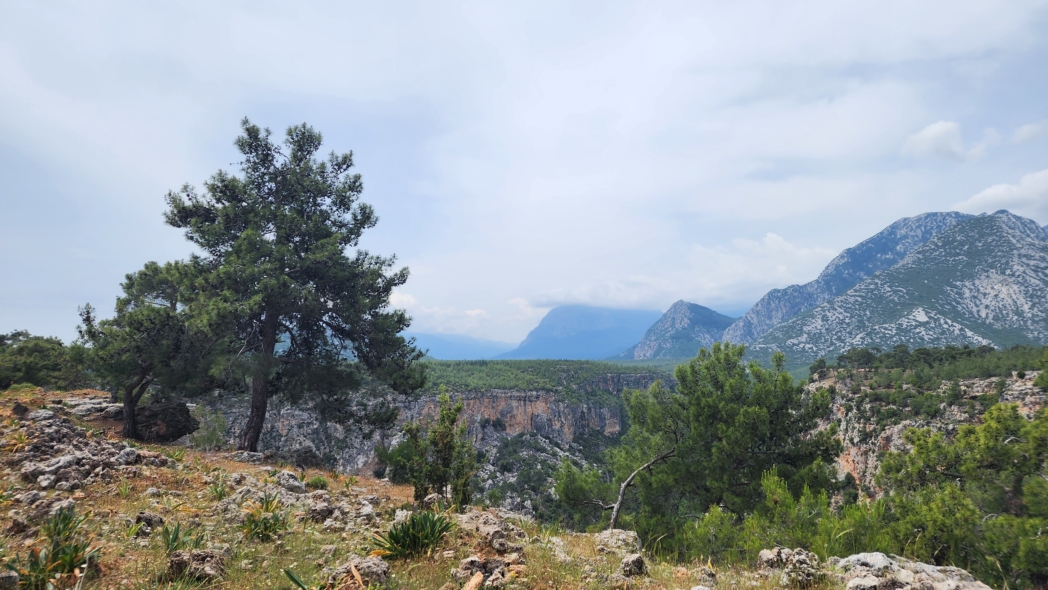 Фото из похода