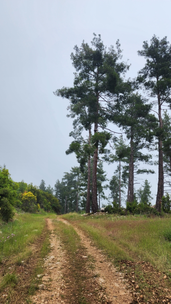 Фото из похода