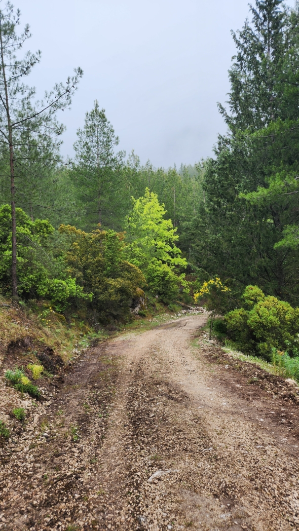 Фото из похода