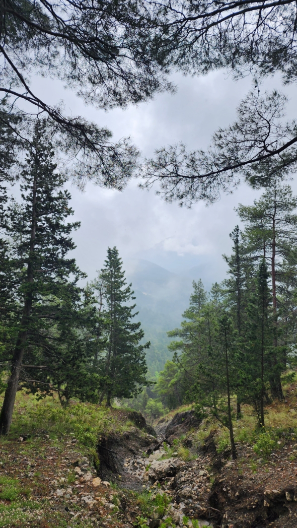 Фото из похода