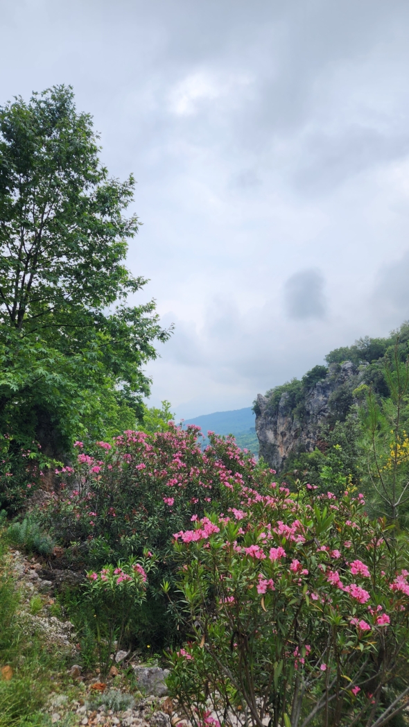 Фото из похода