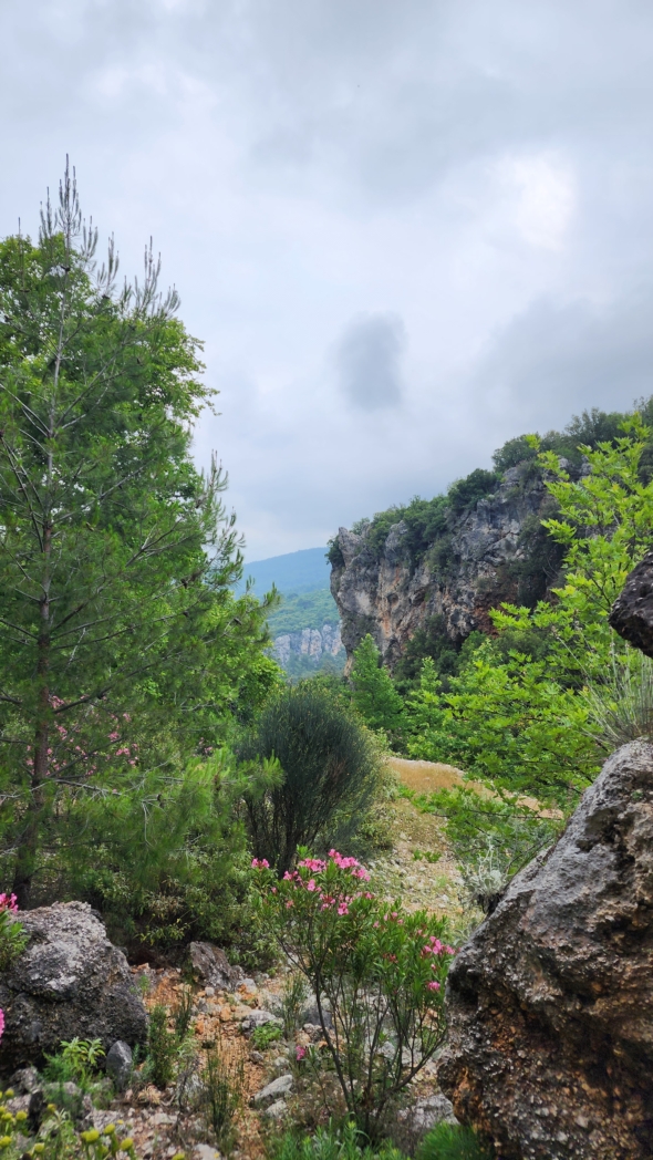 Фото из похода