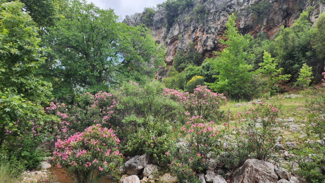 Фото из похода