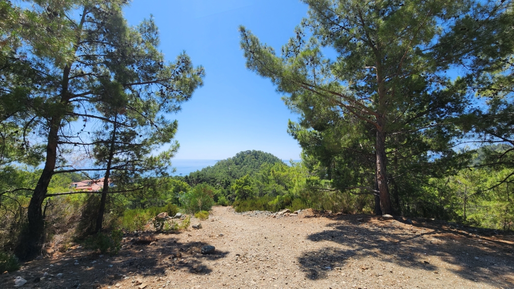 Фото из похода