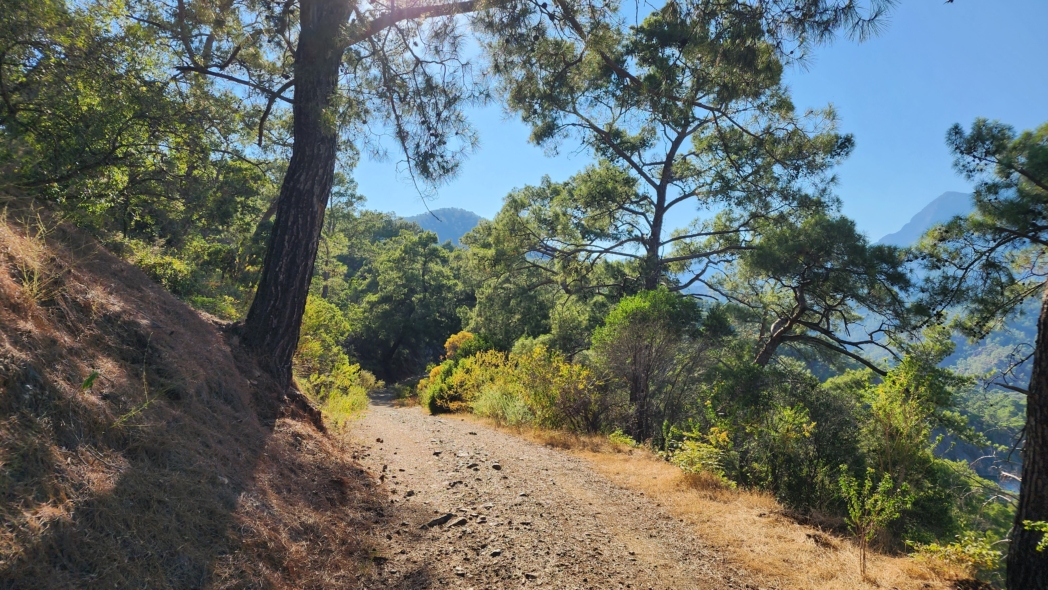 Фото из похода