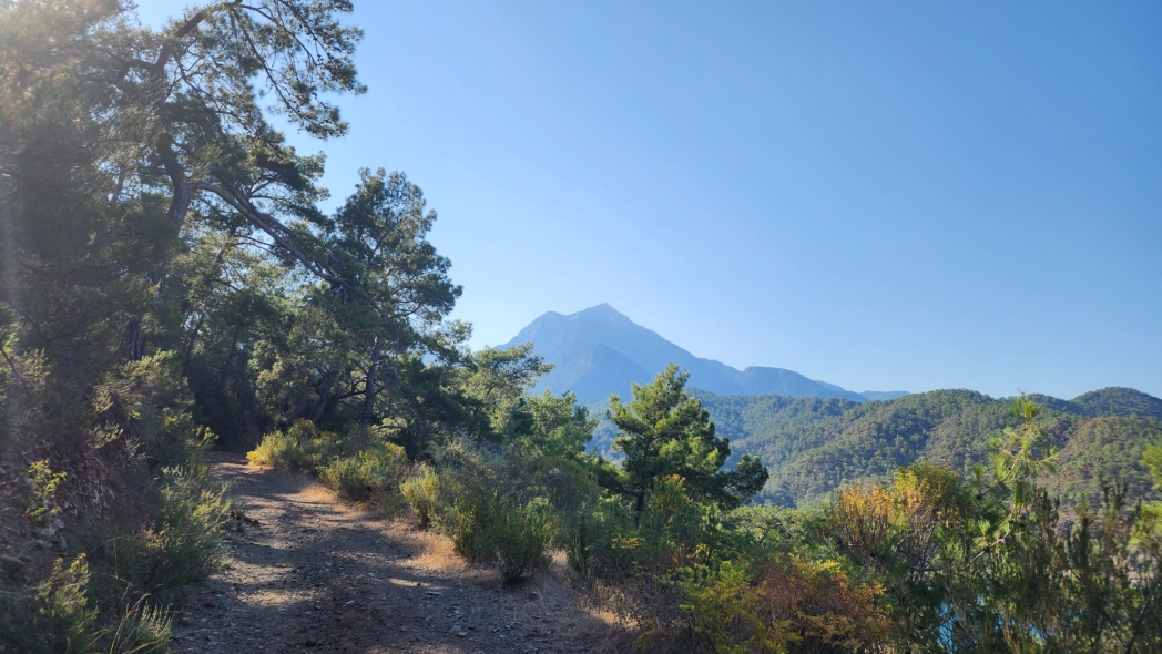 Фото из похода