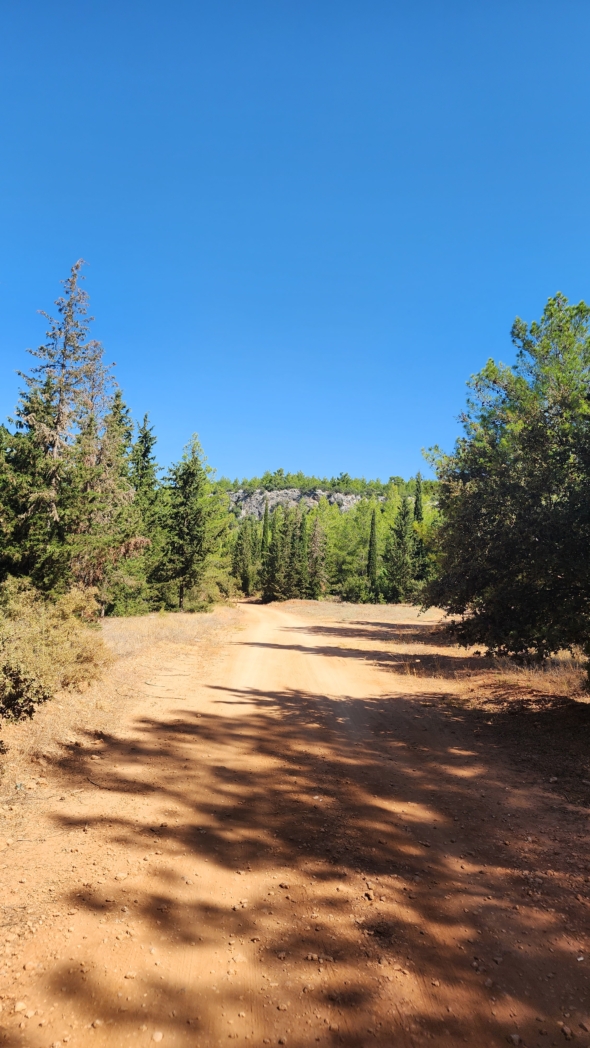 Фото из похода