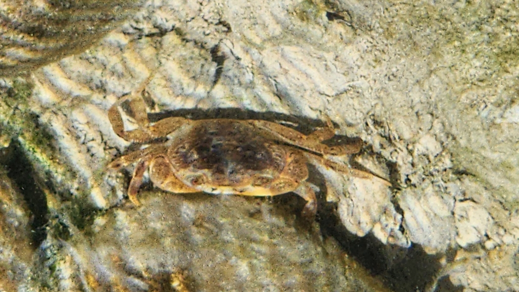 Фото из похода