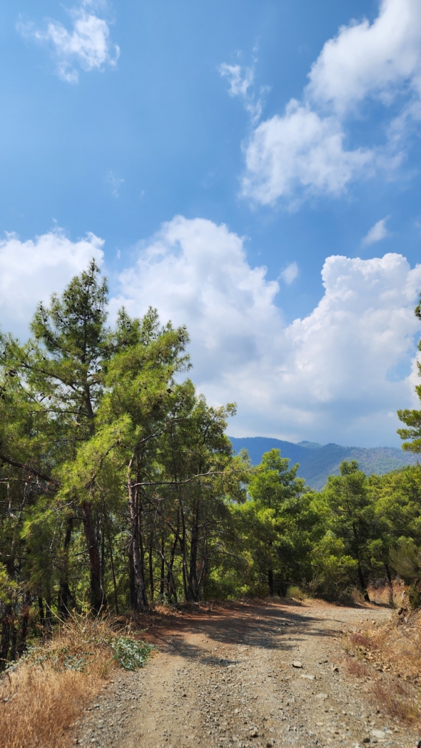 Фото из похода