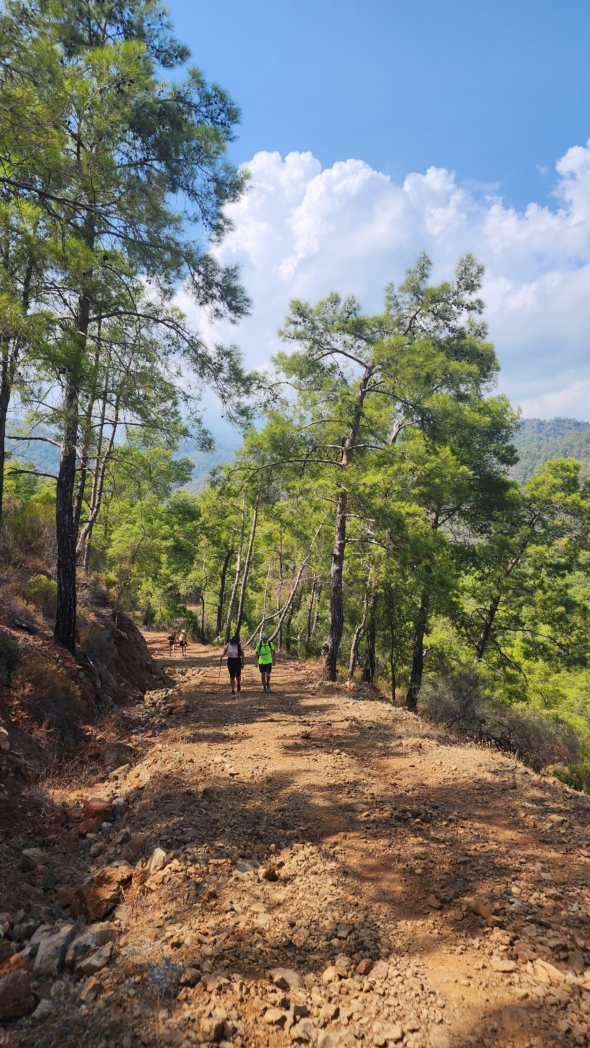 Фото из похода