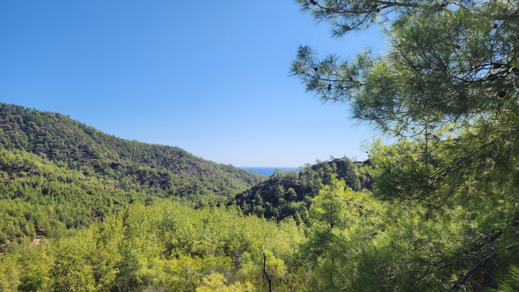 Фото из похода