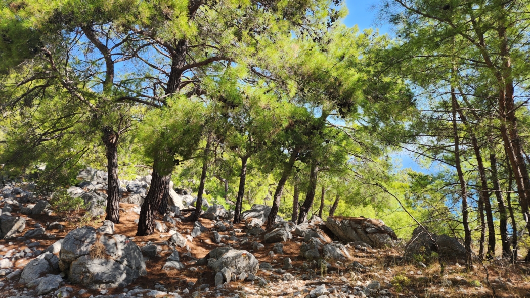 Фото из похода