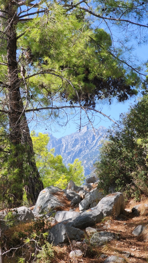 Фото из похода