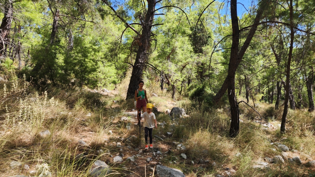 Фото из похода