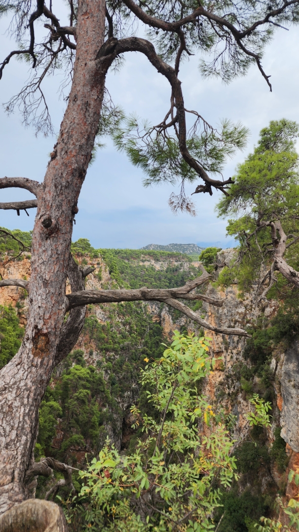 Фото из похода