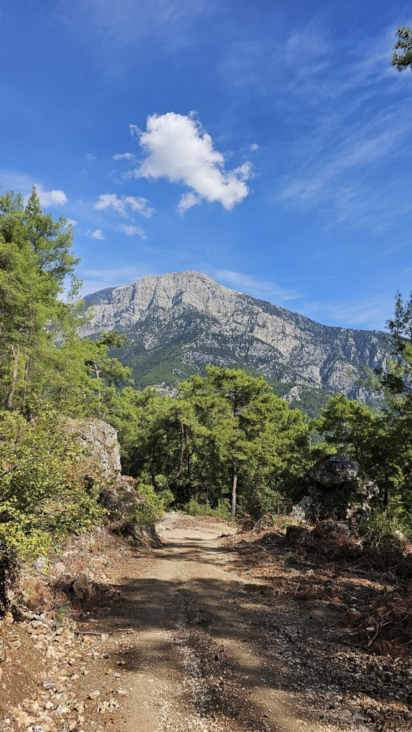 Фото из похода