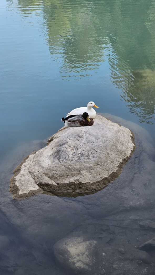 Фото из похода