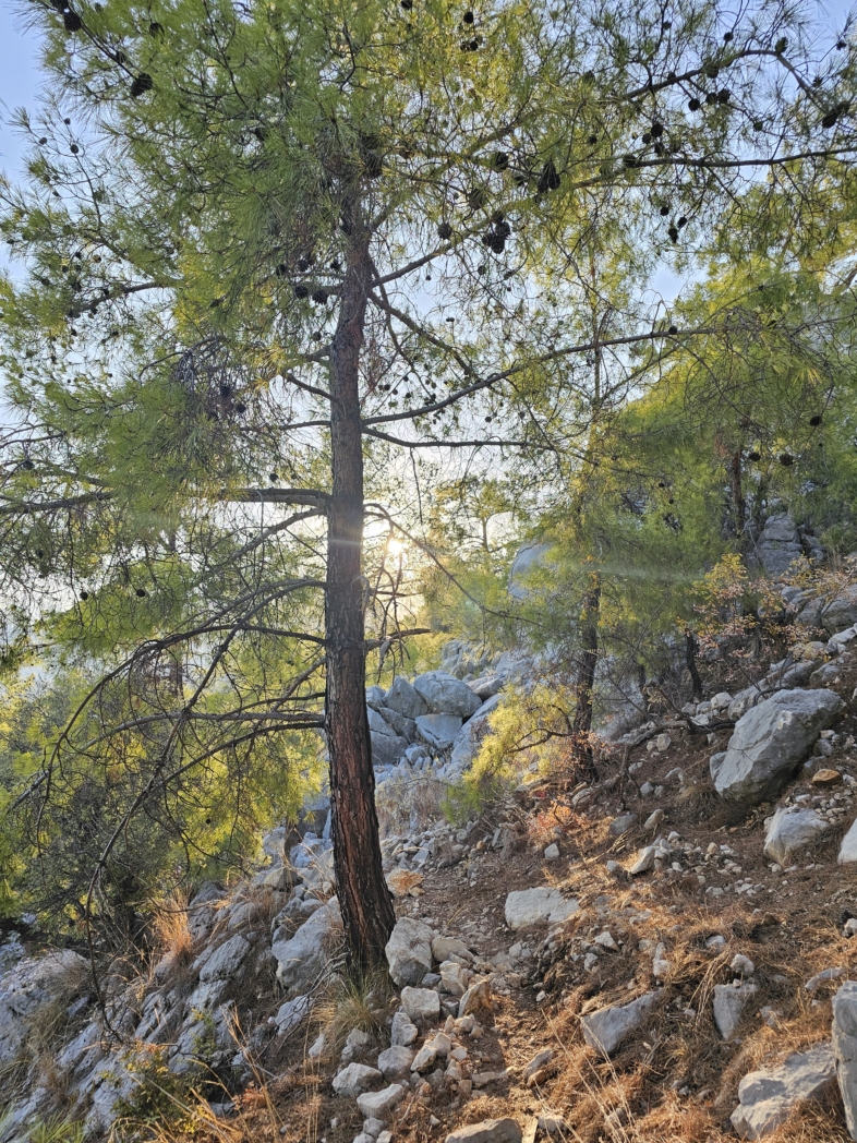 Фото из похода