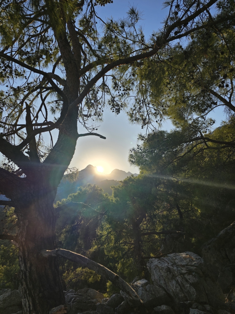 Фото из похода