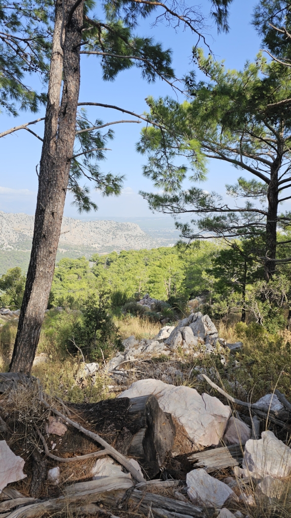 Фото из похода