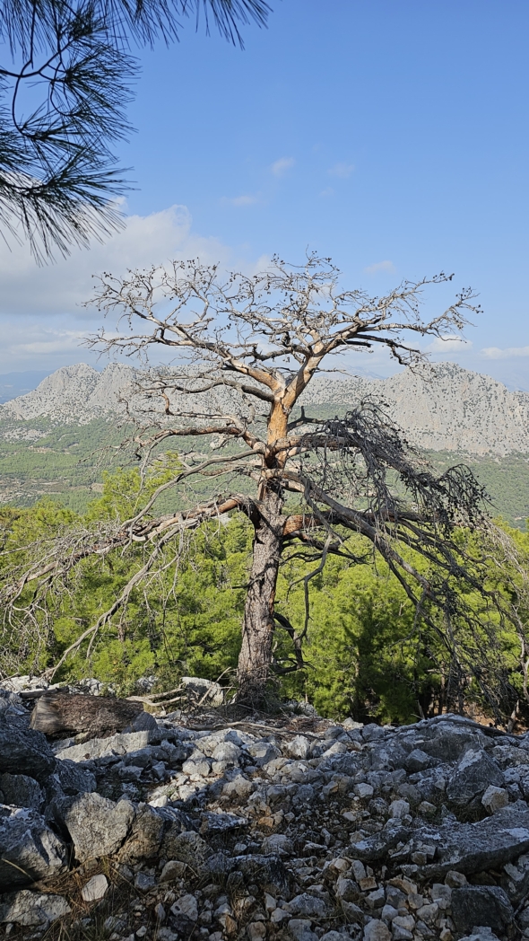 Фото из похода