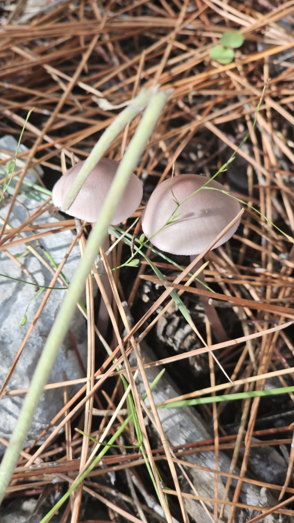 Фото из похода