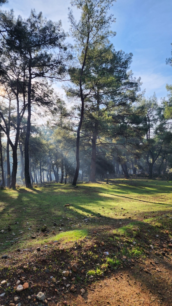 Фото из похода