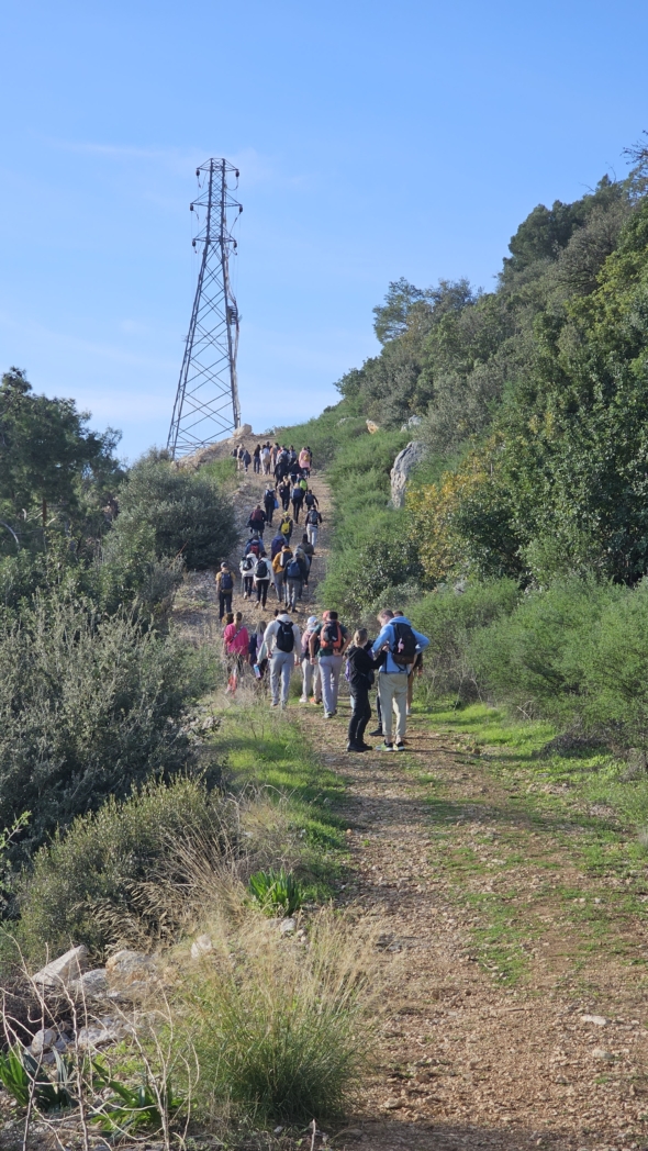 Фото из похода