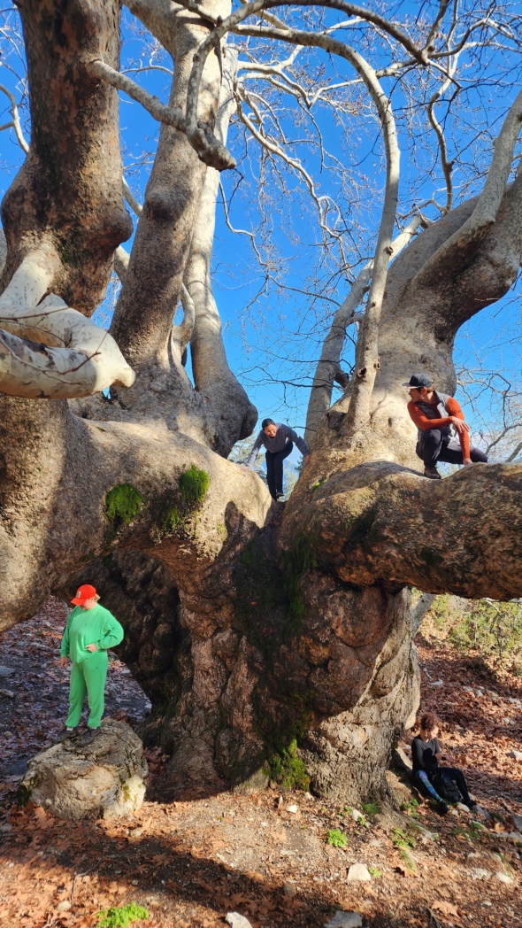 Фото из похода