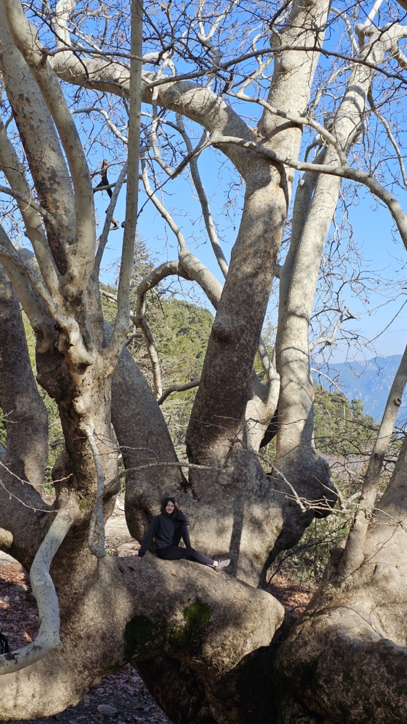 Фото из похода